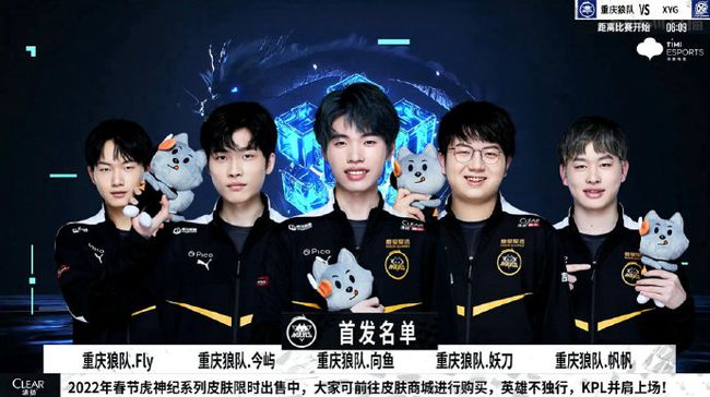 的篮板和快