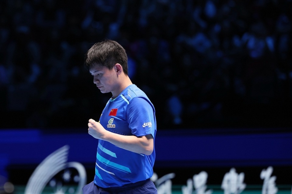 纷呈的报道 纷呈的报道