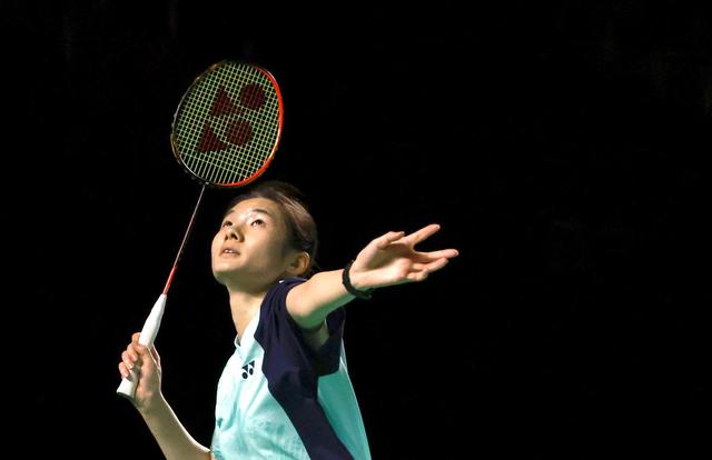 或许会带来 或许会带来