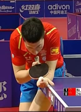 樊振东和王 樊振东和王