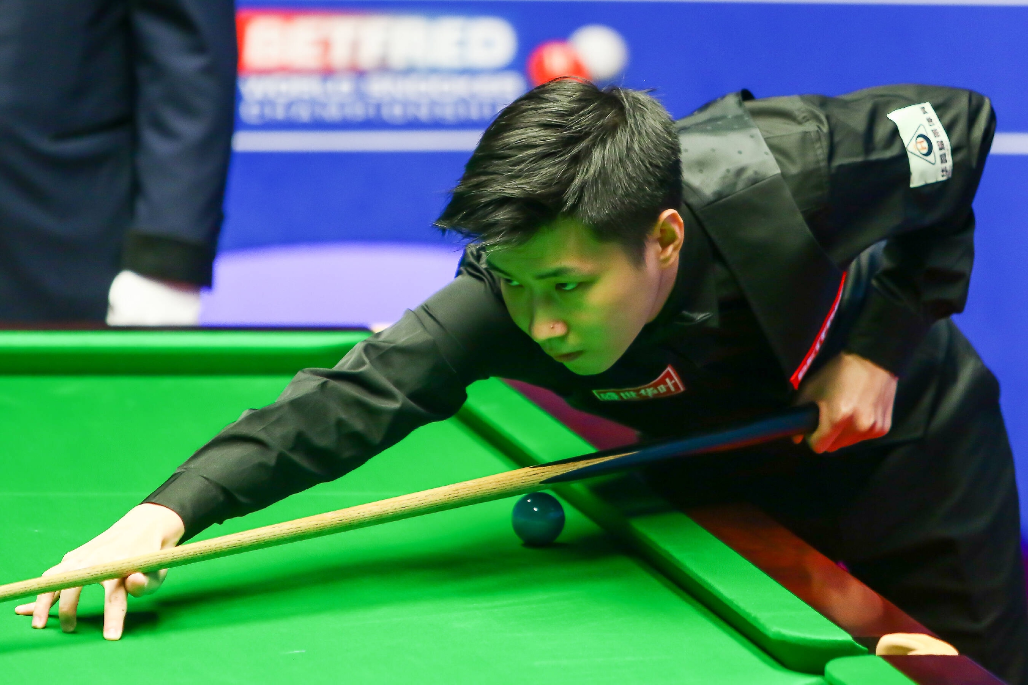 能在复杂的 能在复杂的